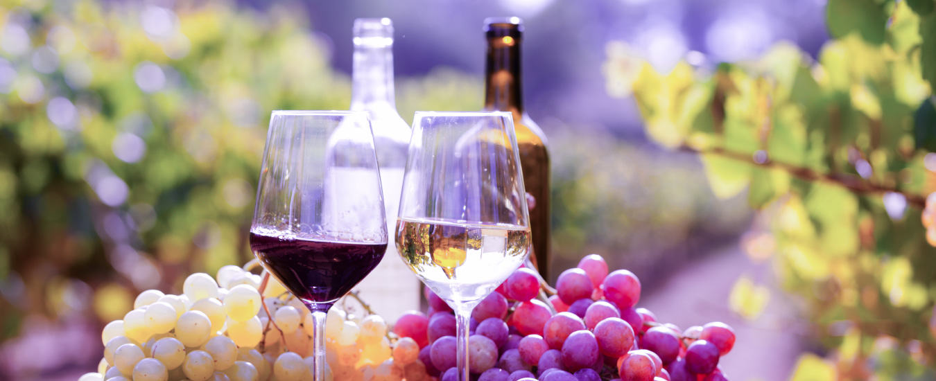 Resort in Florida Club Sevilla Kissimmee Resort in Florida, USA